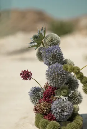 Sculptural flowers by NOVE
