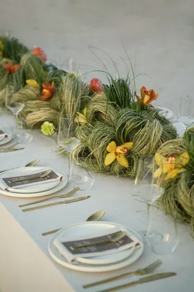 NOVE event table detail